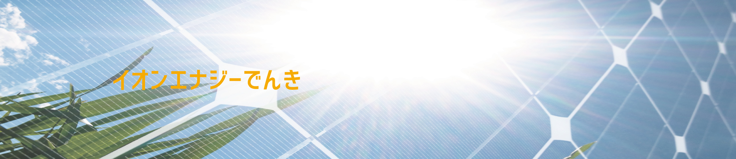 イオンエナジーでんき